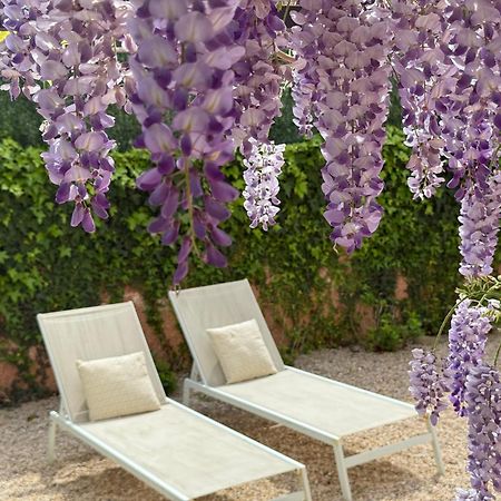 Bakea Apto Con Jardin Privado Bakio Dış mekan fotoğraf