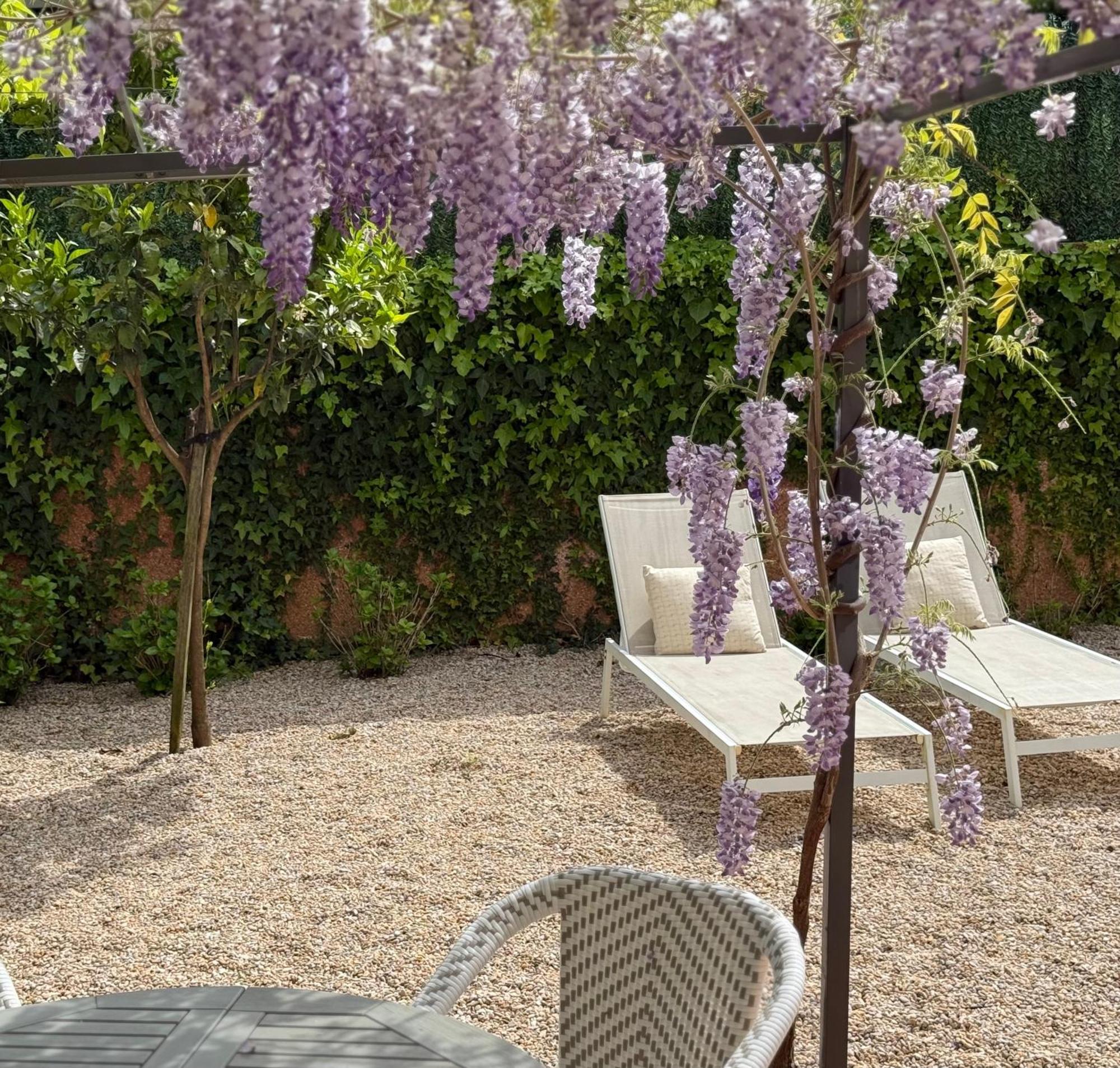Bakea Apto Con Jardin Privado Bakio Dış mekan fotoğraf